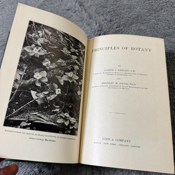 Antique Principles of Botany Book Bergen & Davis 1906 HC Illustrated Ginn & Co. - Picture 6 of 8